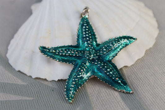 Stella dell’Abisso - Enamelled 800 Silver Pendant